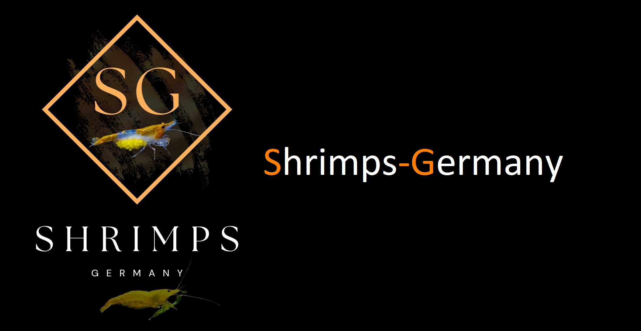 Shrimps-Germany
